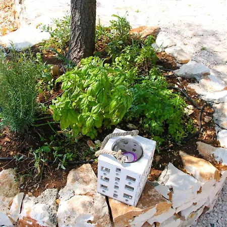 Trullincanto By Jd Collection * Monopoli