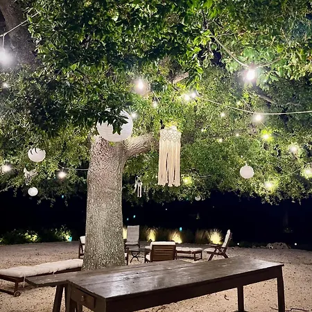 Trullincanto By Jd Collection