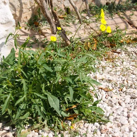 Trullincanto By Jd Collection Holiday home Monopoli