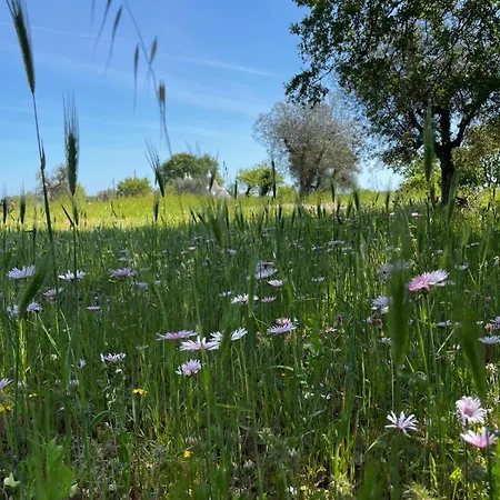 Holiday home Trullincanto By Jd Collection *