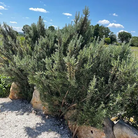 Trullincanto By Jd Collection Monopoli