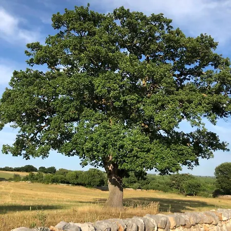 Holiday home Trullincanto By Jd Collection *