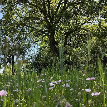 Trullincanto By Jd Collection