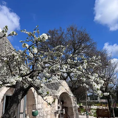 Trullincanto By Jd Collection *