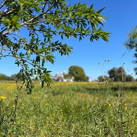 Trullincanto By Jd Collection *